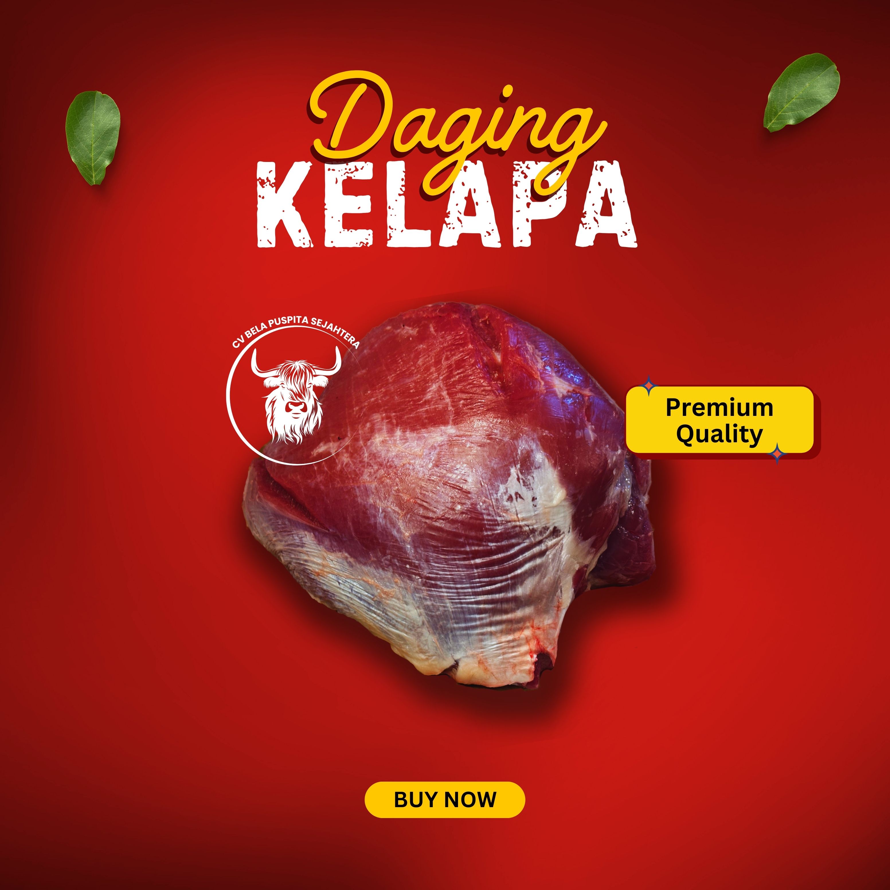 Daging Kelapa