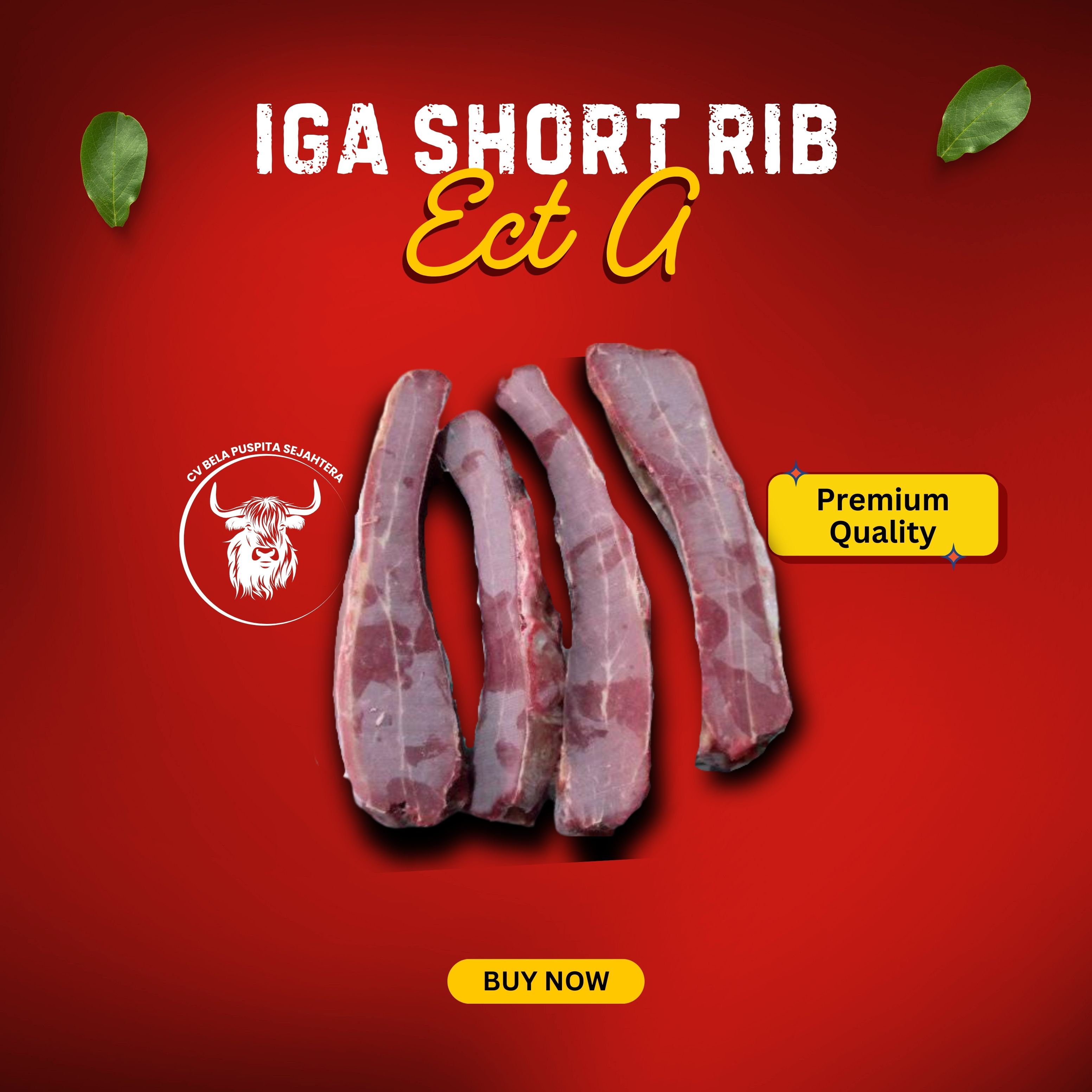 Iga Short Rib ECT A