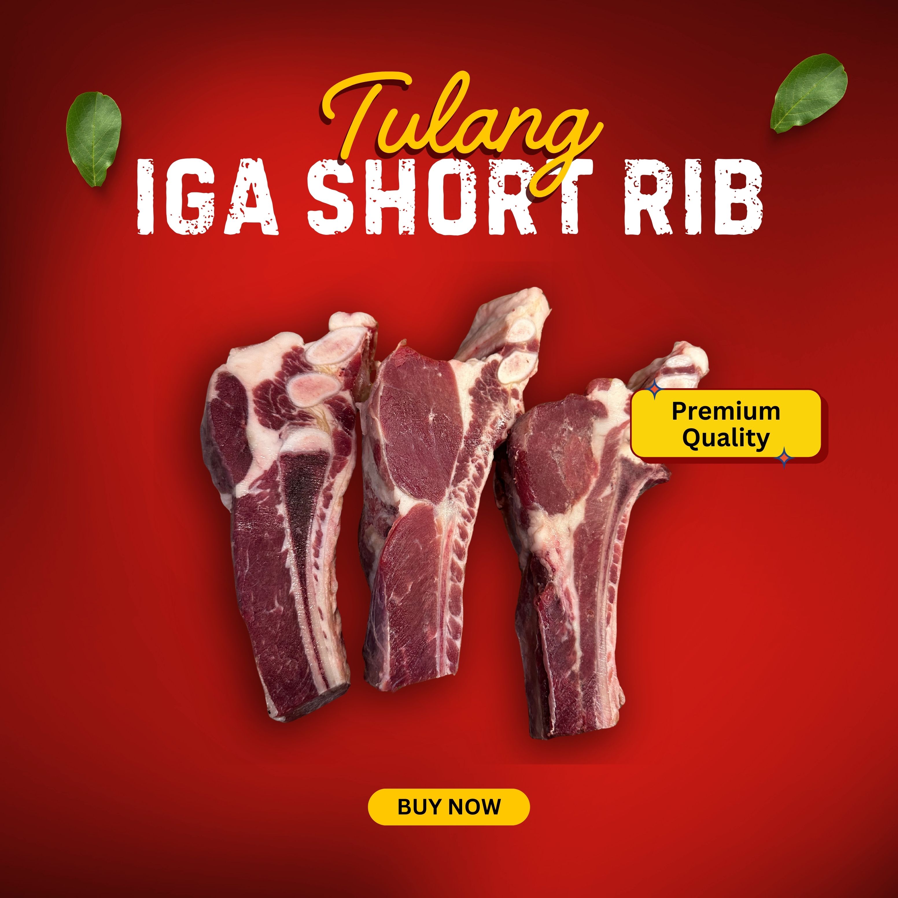 Tulang Iga Backrib