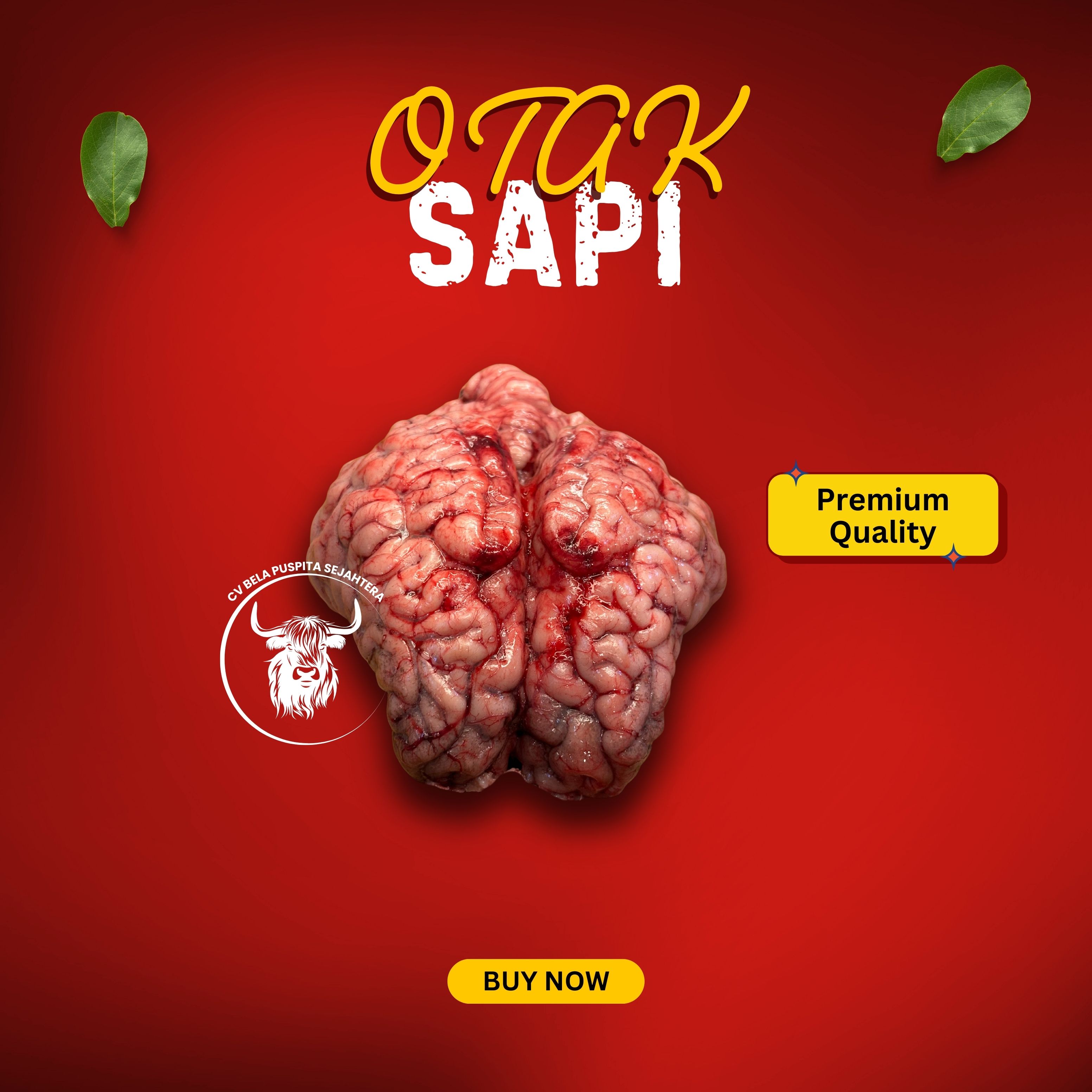 Otak Sapi